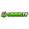 gavangtvltd7