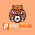 dooball66