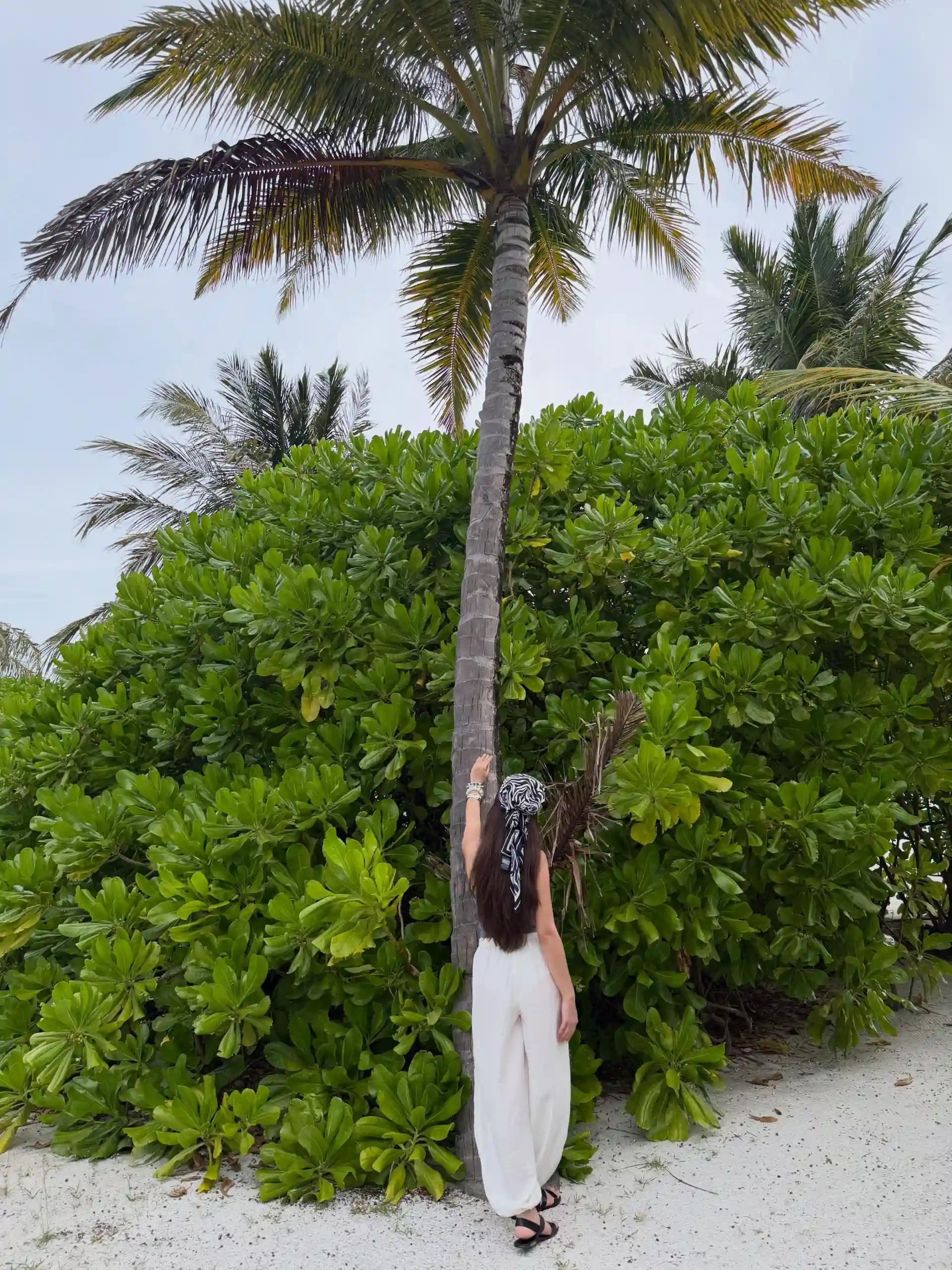Only photo with no wind 🌬️ - PixBender
