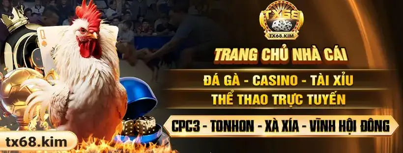 Hệ sinh thái TX68 bao gồm nhiều chuyên mục giải trí như c...