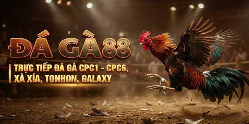 DAGA88 | ĐÁ GÀ TRỰC TIẾP THOMO CPC2 - CPC5, XÀ XÍA, TONHON | PixBender