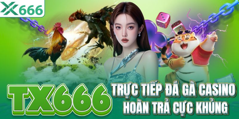 TX666 Pn - Độc Quyền Đá Gà Xà Xía Hà Tiên | Đăng Ký +8888...